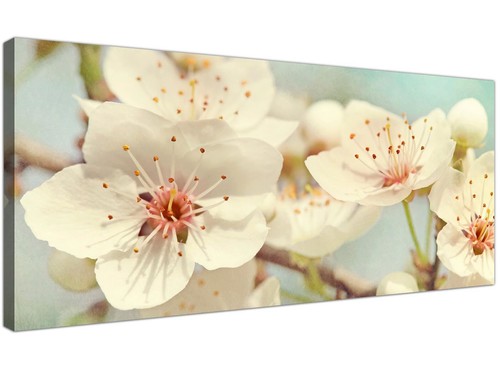 Japanese cherry blossom duck - cherry,