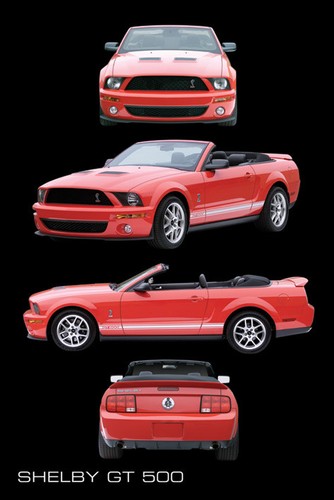 Poster ford shelby gt500 red - poster,