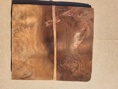 Walnut burr veneer - veneer,