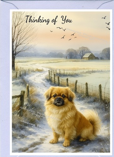 Tibetan spaniel dog thinking - spaniel,