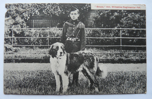 Vintage postcard bruce 4th - postcard, "bruce"