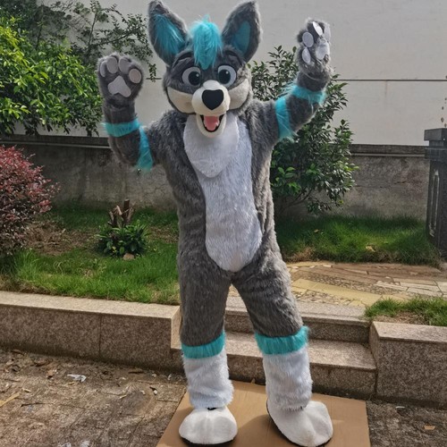Long fur husky - husky, fursuit