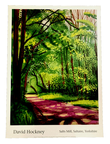 David hockney the arrival - arrival, of