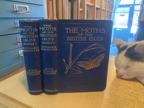 South the moths - south:,