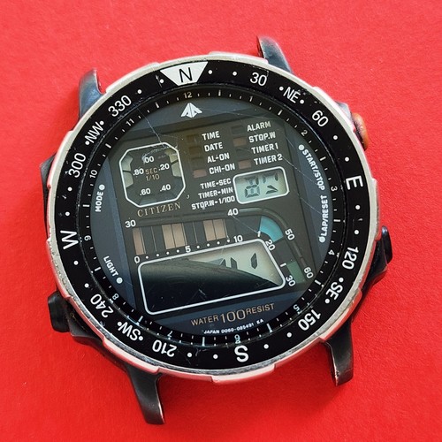 Citizen windsurfer watch - windsurfer,