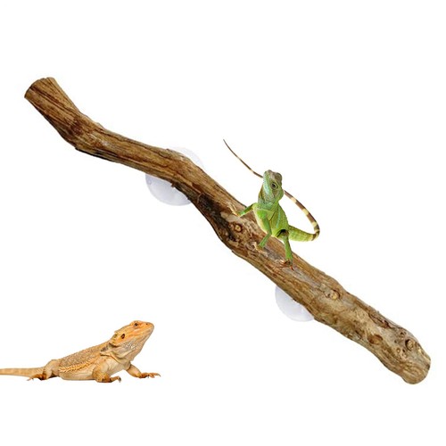 Wood reptile corner branch - reptile,