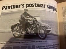 PANTHER SINGLE / OUTFIT COMBO