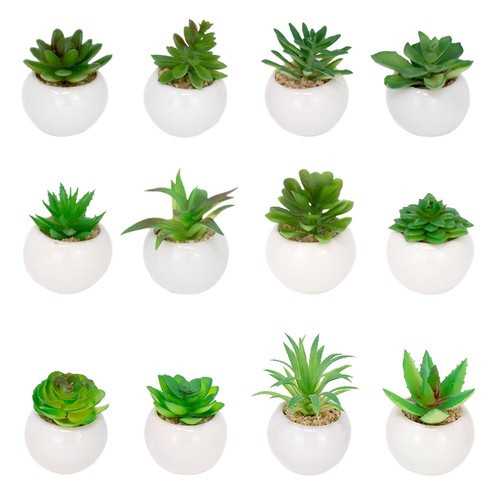 Set artificial succulent - of,