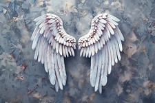 Stunning Angel Wings Canvas