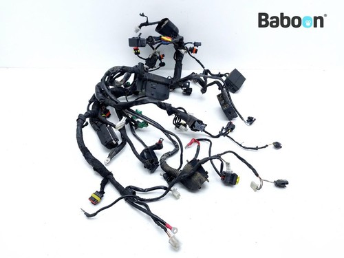 Wiring harness aprilia - wiring, (main)