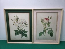 Pair of Framed Vintage Rose