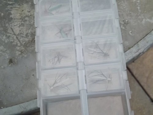 Fly box with compartments - with, 20