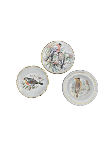 Set vintage bird plates - set,
