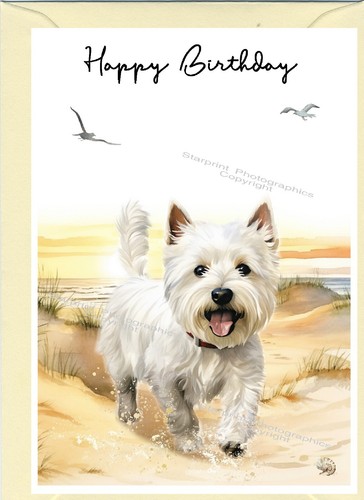West highland white terrier - west,