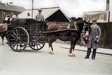 col0141 - R Hooley Horse &