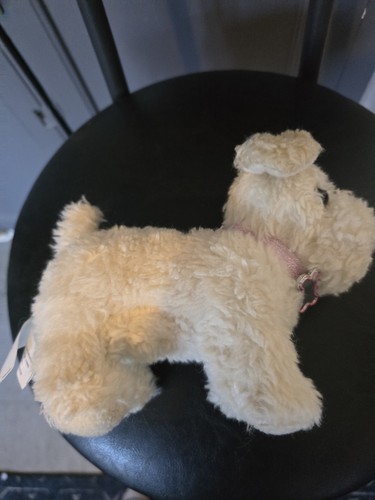 Our generation white terrier
