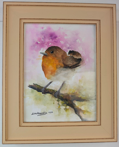 Robin bird original - bird.,