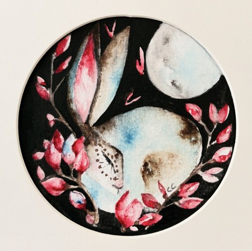 Original hare rabbit and - rabbit,