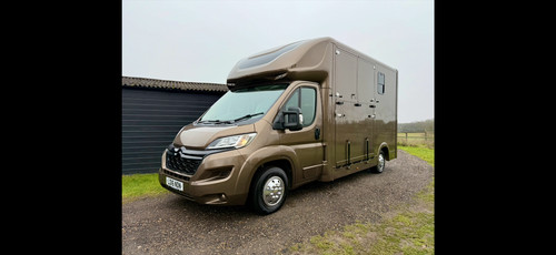 Bronze beauty 3 - ✅bronze, 3.5t
