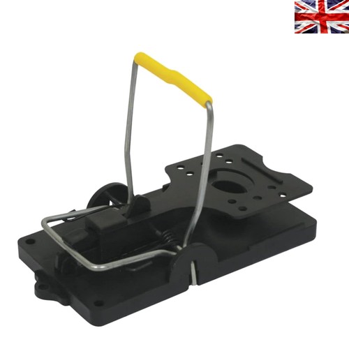 Non electric multicolour rat - multicolour,