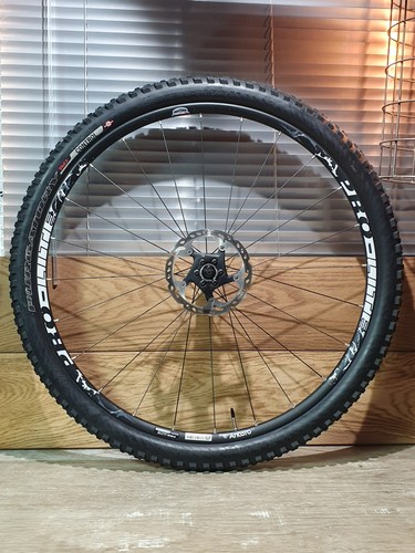 Pro lite antero - pro-lite, (29er)