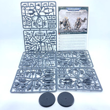 Sisters Of Battle Penitent