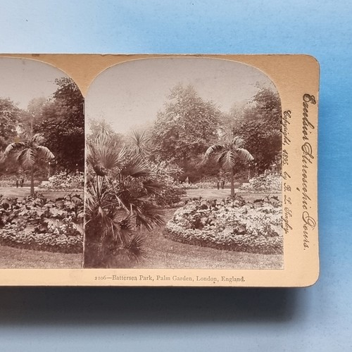 Battersea stereoview card - card, 3d