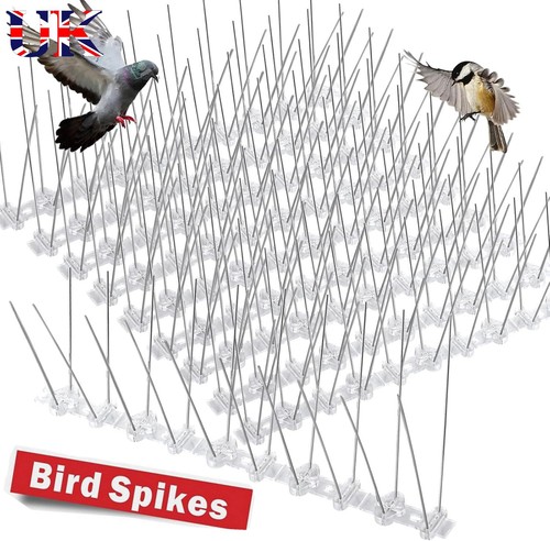 40m bird spikes pigeon - 40m,