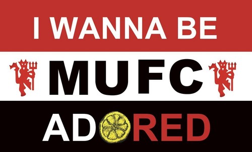 Manchester united flag 3x2ft - manchester,