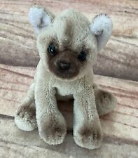 Suki- Himalayan Cat - Soft Plush Toy Teddy Beanie