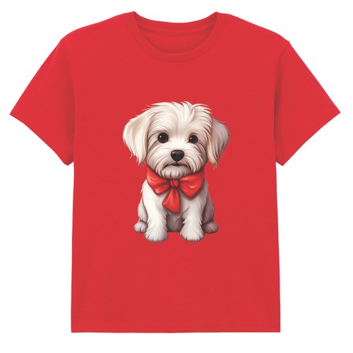 Cute maltese puppy - cute, bow