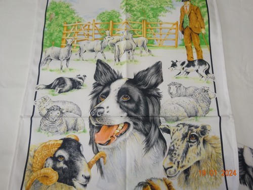 100 cotton tea - cotton, collie