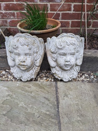 Putto angel head for planting
