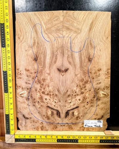 Elm burl guitar - elm,