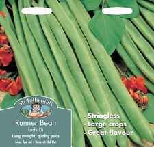 Mr Fothergills - Vegetable - Runner Bean Lady Di Stringless  - 45 Seeds