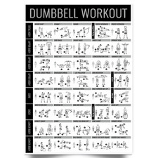 Dumbbell Gym Workout Poster