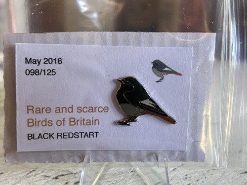 Rspb interest black redstart - interest,