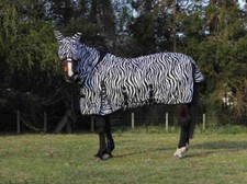 Light Zebra fly rug complete