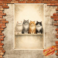 Four Maine Coon Cats Metal
