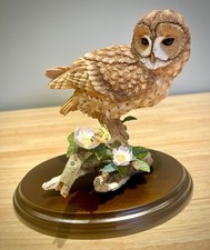 Country Artists Tawny Owl with