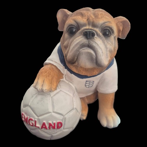 Bulldog england - bulldog,