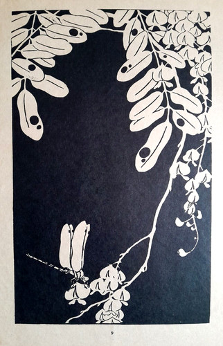 Ito jakuchu wisteria dragonfly - ito,