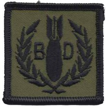 5131 Bomb Disposal Ops Royal