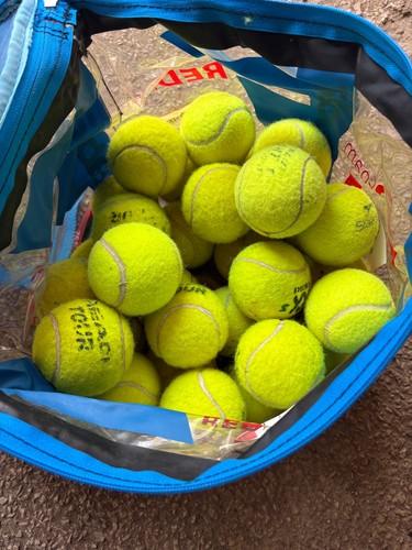 Used tennis balls - tennis,