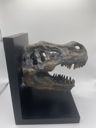 Tyrannosaurus rex skull - rex,