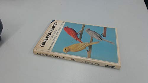 Coloured canaries walker - coloured, canaries,