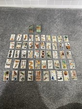 Wild Woodbine Cigarettes Cards