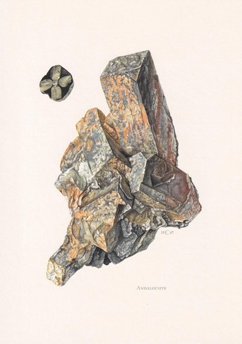 1968 andalusite print - andalusite,