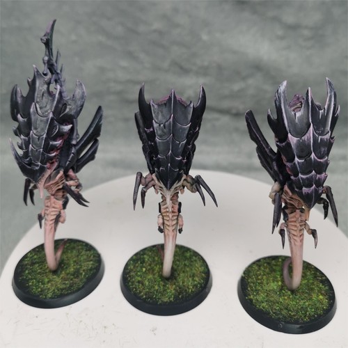 Zoanthropes neurothrope - zoanthropes,