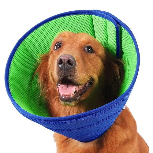 Pet recovery lightweight - pet,